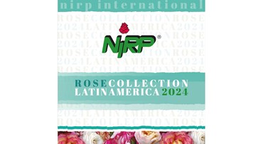 Catalogue Cut Roses LATIN AMERICA 2024