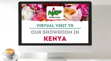 Visite Virtuelle de notre Vitrine en KENYA