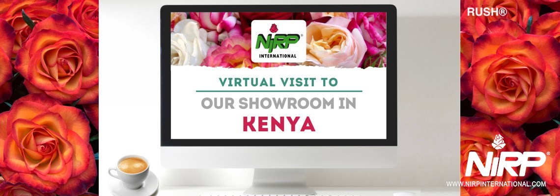 Visita Virtuale al nostro Showcase in KENIA