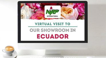 Virtueller Besuch unseres Showcase in ECUADOR
