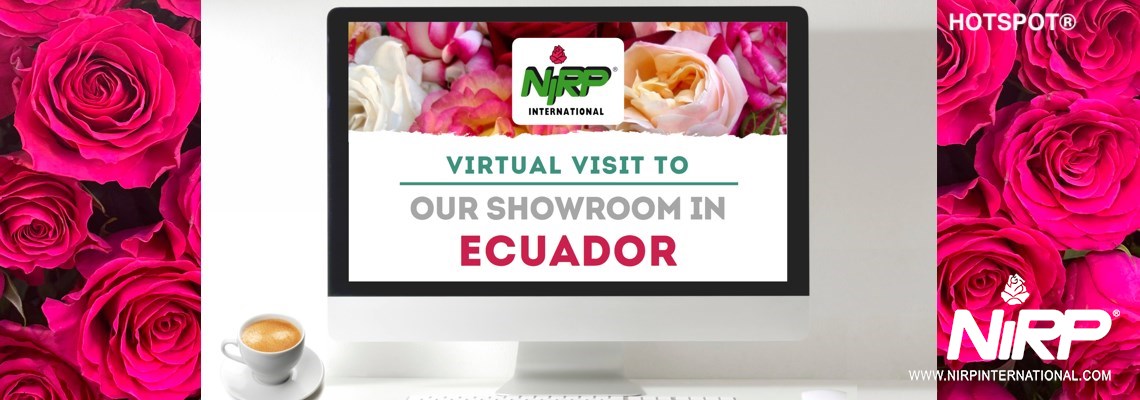 Virtual Visit to our Showcase in ECUADOR