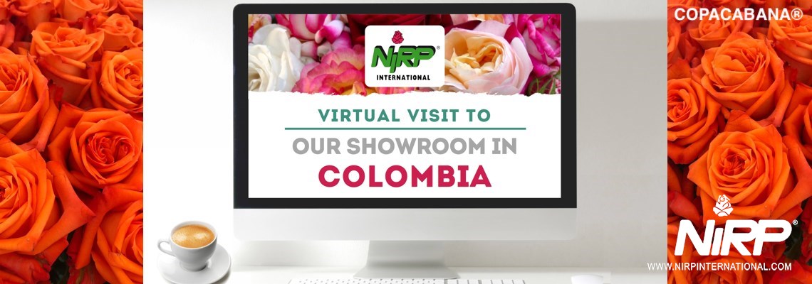 Visita Virtuale al nostro Showcase in COLOMBIA