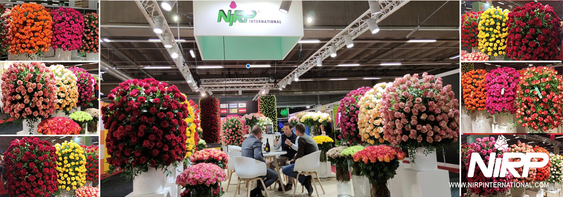 NIRP stand “TFA - Flora Holland Trade Fair Aalsmeer 2021”