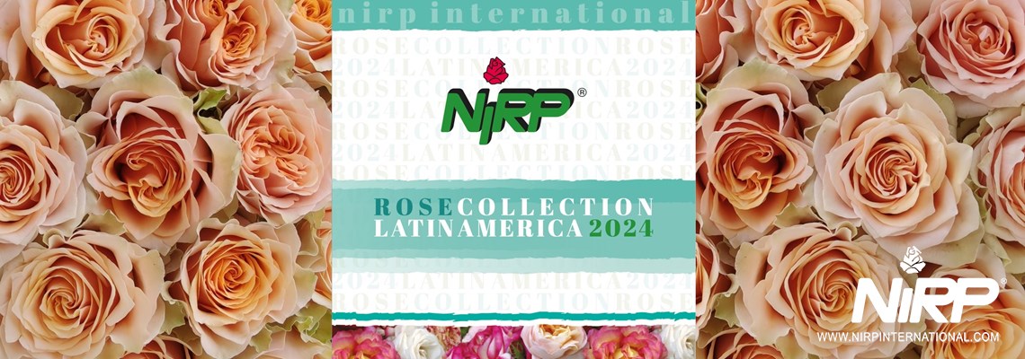 Nuestro nuevo catálogo de Variedades de Rosas de Corte: ROSE COLLECTION · LATIN AMERICA  2024