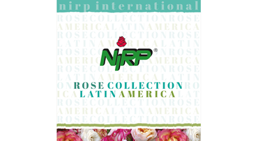 NIRP - catalogues and leaflets on our roses