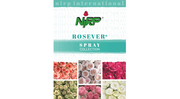 Catalogue ROSEVER® Spray Collection 2023