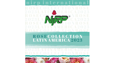Catalogue Cut Roses LATIN AMERICA 2023