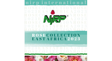 Catalogue Cut Roses EAST AFRICA