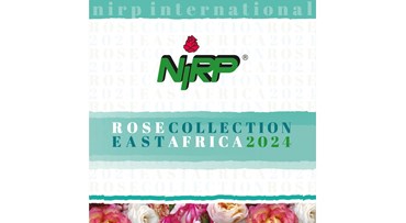 Catalogue Cut Roses EAST AFRICA 2024