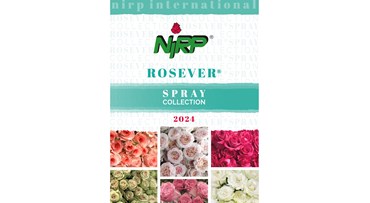 Catalogue ROSEVER® Spray Collection 2024