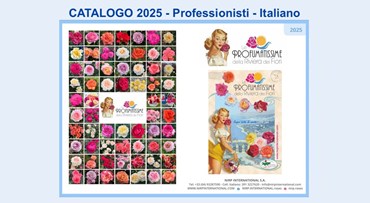 Le Profumatissime della Riviera dei Fiori®  >  Catalogo 2025 Professionisti - Italiano