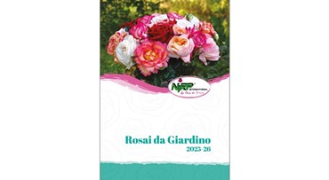 Catalogo Rosai Giardino ITALIANO 2025-26