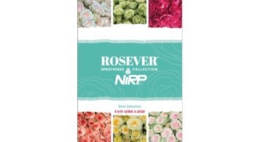 Catalogue ROSEVER® Spray Roses Collection 2026 - EAST AFRICA