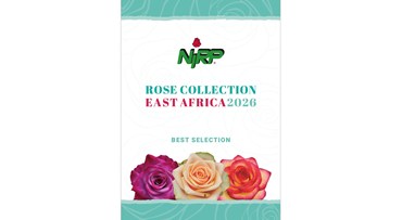 Catalogue Cut Roses EAST AFRICA 2026