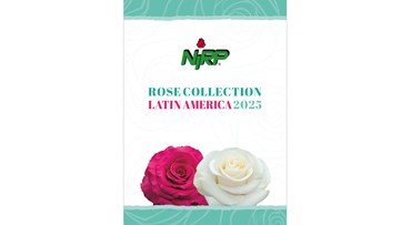 Catalogue Cut Roses LATIN AMERICA 2025_26