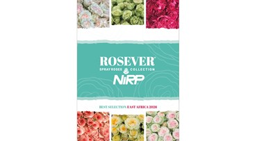 Catalogue ROSEVER® Spray Roses Collection 2026 - EAST AFRICA