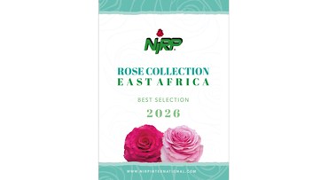 Catalogue Cut Roses EAST AFRICA june 2026