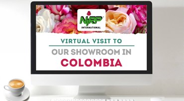 Virtueller Besuch unseres Showcase in KOLUMBIEN