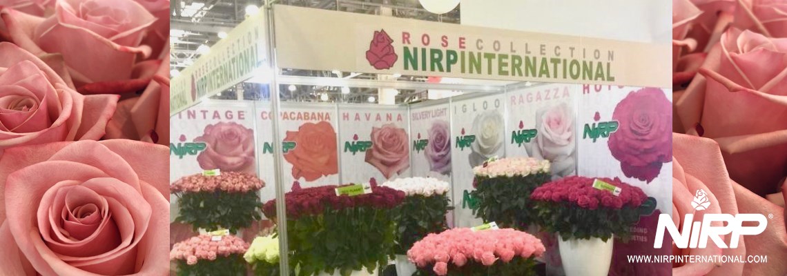 FLOWERS EXPO Russia 2019