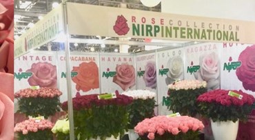FLOWERS EXPO Russia 2019