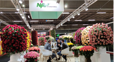 NIRP stand “TFA - Flora Holland Trade Fair Aalsmeer 2021”