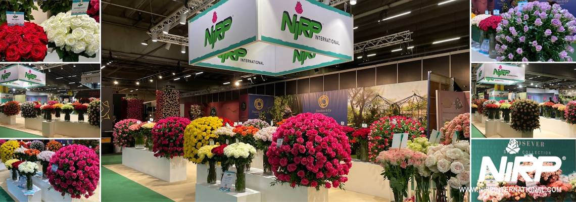 NIRP stand - TFA 2022 - Flora Holland Trade Fair Aalsmeer