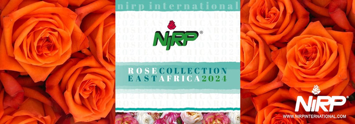 Il nostro nuovo catalogo di Rose da Fiore Reciso: ROSE COLLECTION · EAST AFRICA 2024