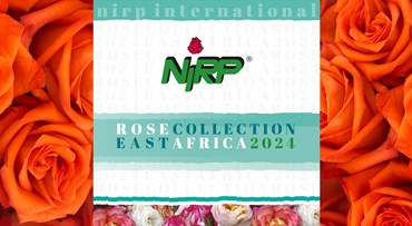 Il nostro nuovo catalogo di Rose da Fiore Reciso: ROSE COLLECTION · EAST AFRICA 2024