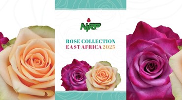 Il nostro nuovo catalogo di Rose da Fiore Reciso: ROSE COLLECTION · EAST AFRICA 2025