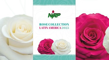 Il nostro nuovo catalogo di Rose da Fiore Reciso: ROSE COLLECTION · LATIN AMERICA 2025