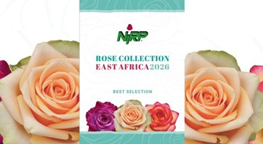 Our new catalogue of Cut Rose varieties: ROSE COLLECTION · EAST AFRICA 2026